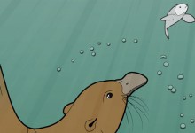 Der Beutelotter