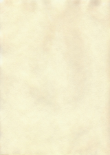 Simulation gelb 2