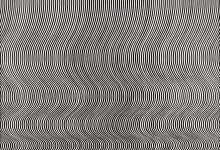 Bridget Riley