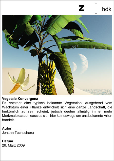 GEO-VISUALS: Vegetale-Konvergenz