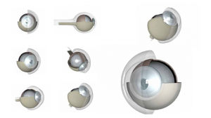 zhdk-marinabraem-aug-03