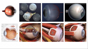 zhdk-marinabraem-aug-04