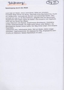Scan 5