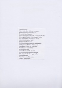 Scan 6
