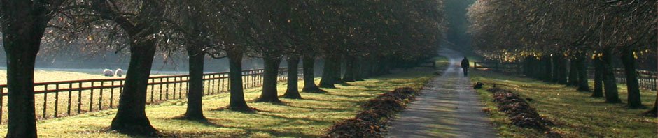 Strategie-Blog DDK