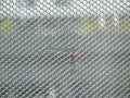 P1140050