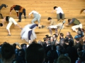 P1150005.jpg