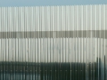 P1150044.jpg