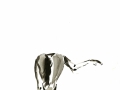 img02