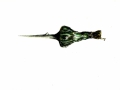 img031